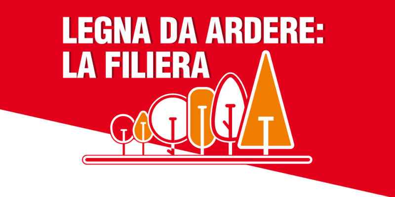 Gli alberi nella filiera della legna da ardere